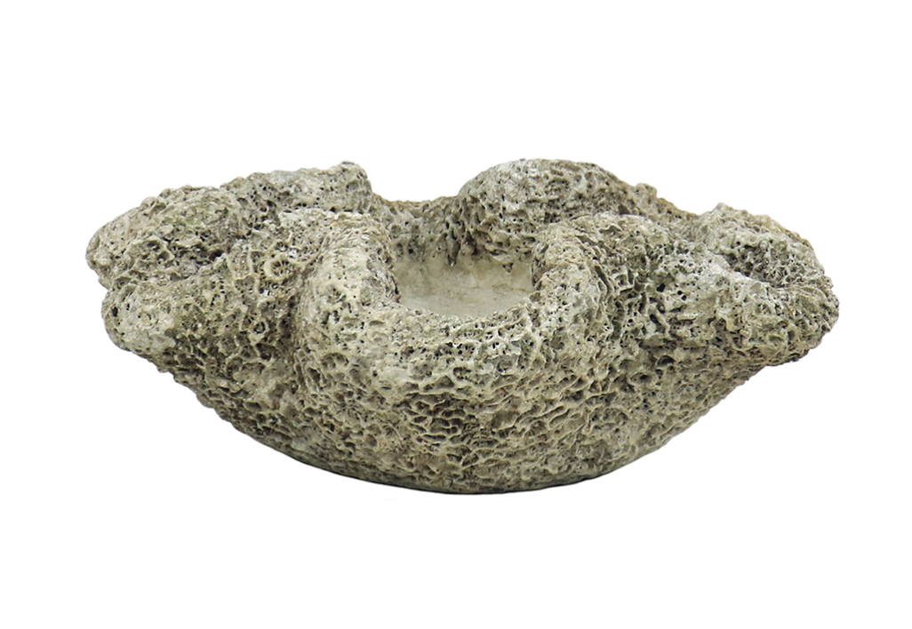 Cast Concrete Coral Planter