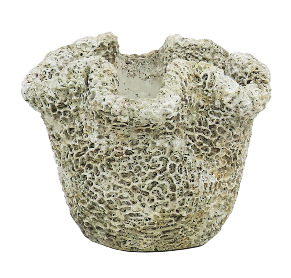 Cast Concrete Coral Planter