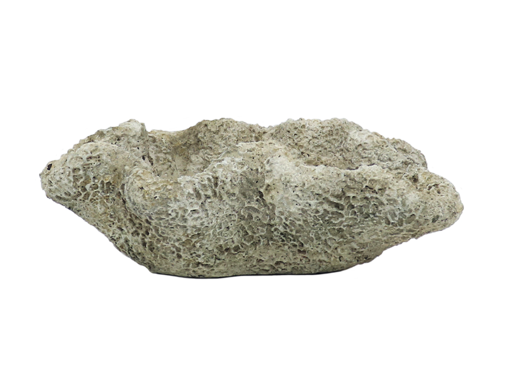 Cast Concrete Coral Planter