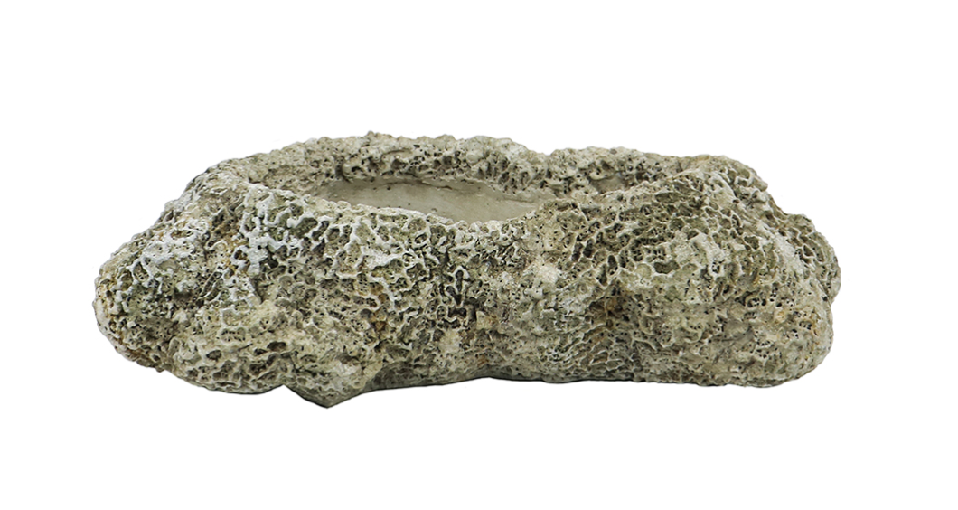 Cast Concrete Coral Planter