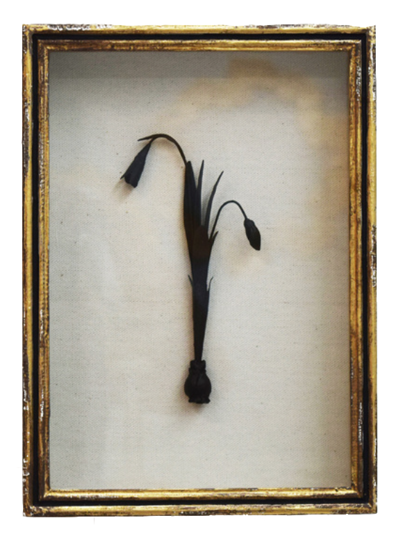 Black Botanical in Gold Leaf Shadow Box