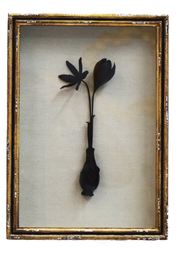 Black Botanical in Gold Leaf Shadow Box