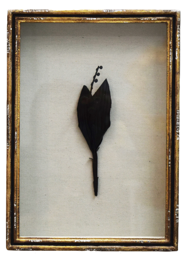 Black Botanical in Gold Leaf Shadow Box