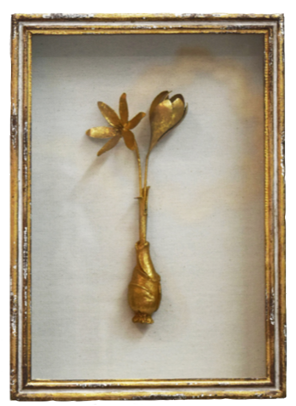 Framed Botanical in Gold Leaf Shadow Box