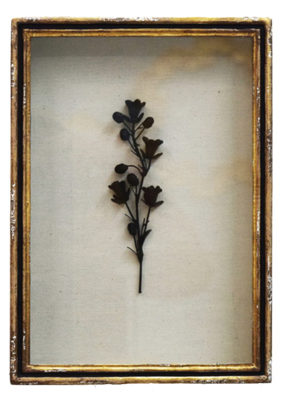 Black Botanical in Gold Leaf Shadow Box