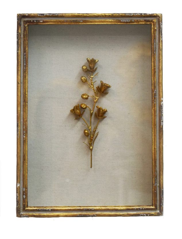 Framed Botanical in Gold Leaf Shadow Box