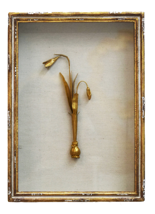 Framed Botanical in Gold Leaf Shadow Box